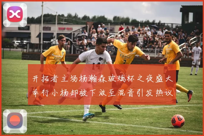 开拓者主场杨瀚森玻璃杯之夜盛大举行小杨却被下放至混音引发热议